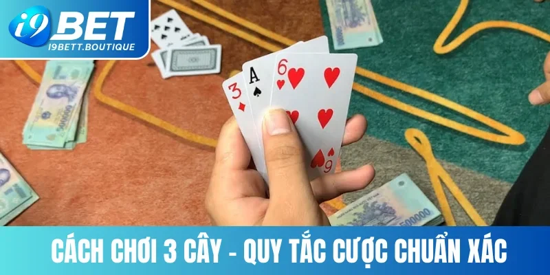 Nắm bắt cách đặt cược chính xác để chơi game hiệu quả