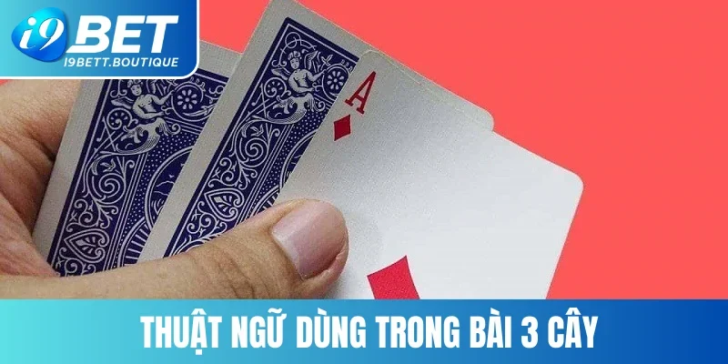 Cập nhật ngay từng thuật ngữ chuẩn xác