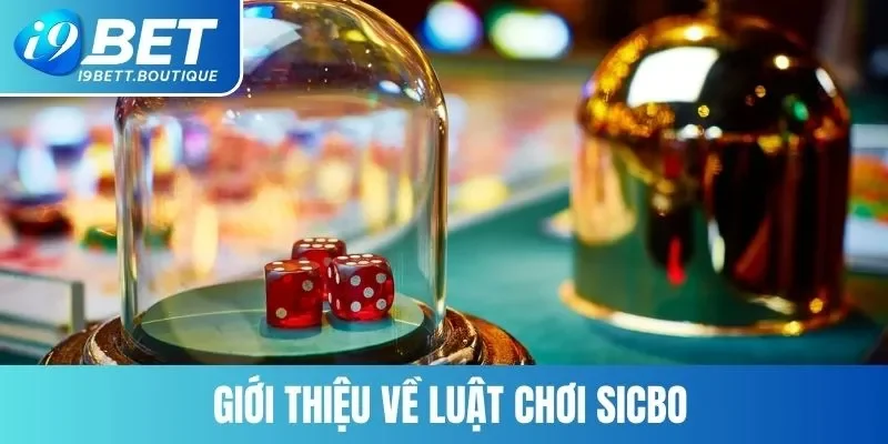Giới thiệu về luật chơi Sicbo