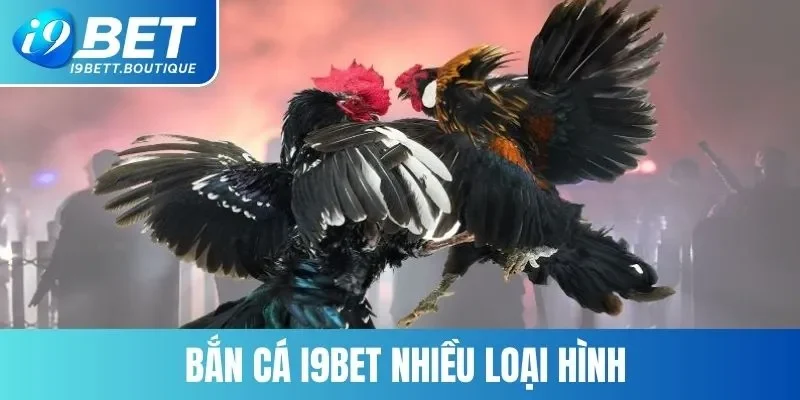 Các hình thức đá gà nổi bật tại nền tảng I9BET