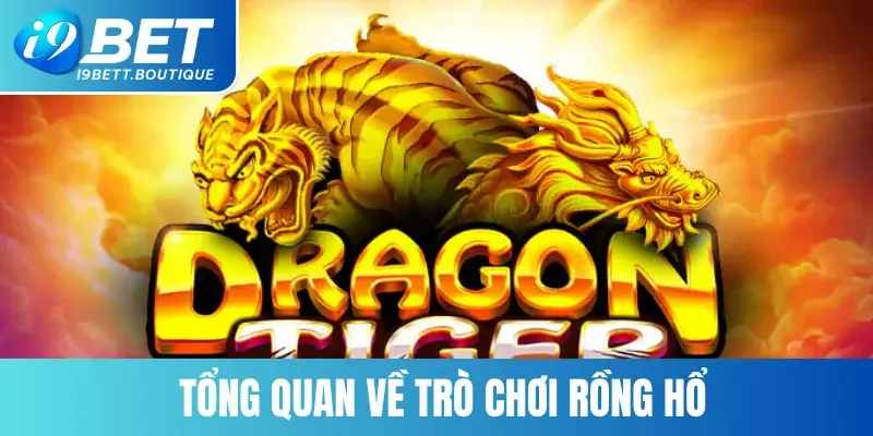 Tổng quan về trò chơi Rồng Hổ