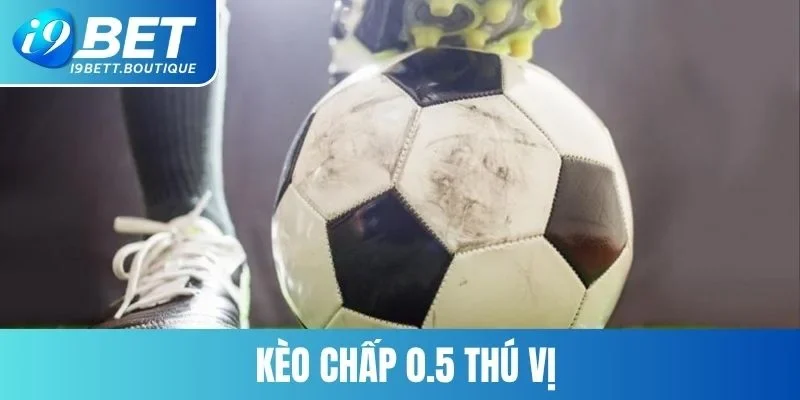 Các loại kèo châu Á khác nhau được hỗ trợ trên nhà cái