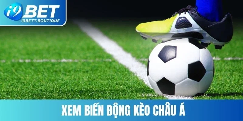 Luôn để ý biến động kèo châu Á để chủ động hơn trong đặt cược